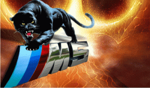 LogoRaul (12)M5PANTER