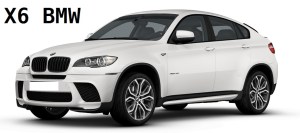 x6-performance-ant
